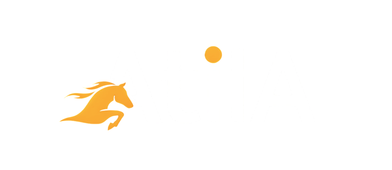 Atila ecommerce